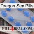 Dragon Sex Pills 21